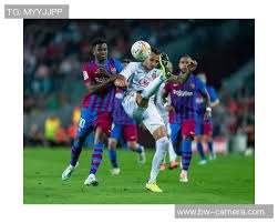 “双杠之王”邹敬园 决赛15.240分震撼全场 全运会实现三连冠